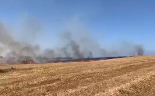 Пожары на границе с Газой: версию об "огненном терроре" подтвердили пожарные