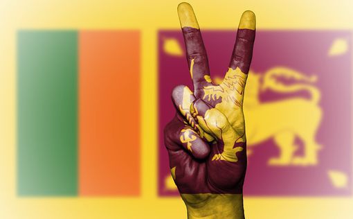 Бывший премьер Шри-Ланки сбежал из-за протестов
