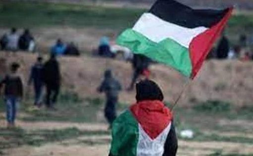 Матч Франция - Тунис: мужчина выбежал на поле с палестинским флагом