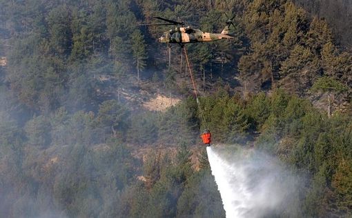 В турецкой Кютахье пожарные локализовали лесной пожар