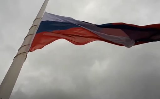 Франция требует ввести санкции против РФ из-за Навального