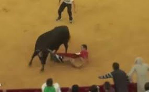В Валенсии быки на забеге покалечили и убили людей