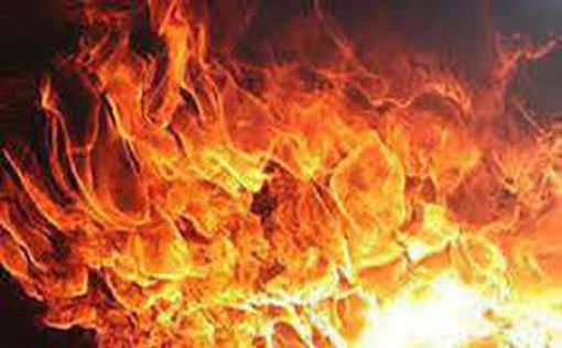 В лесу Ихсаэль вспыхнул пожар