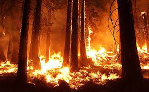 Пожары бушуют в трех штата в США: небо стало кроваво-красным