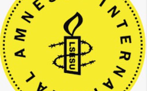 Израиль назвал Amnesty International антисемитской организацией
