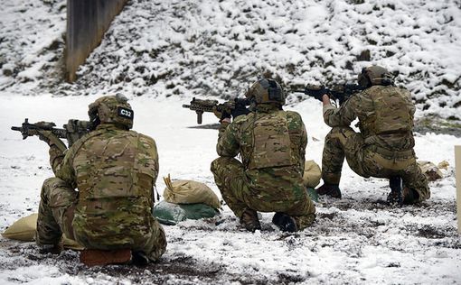 Финляндия, Швеция и США проведут совместные военные учения