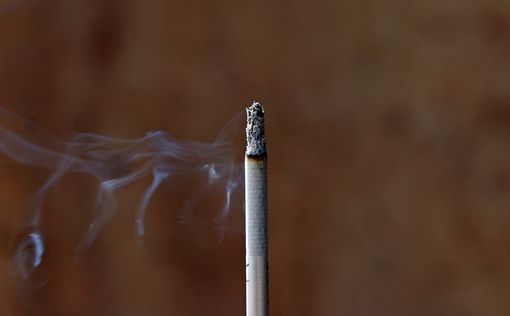 Нагревание табака вместо курения сигарет: риски и преимущества. Слово за наукой
