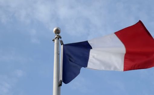 Франция отгородится от Бельгии забором из-за чумы