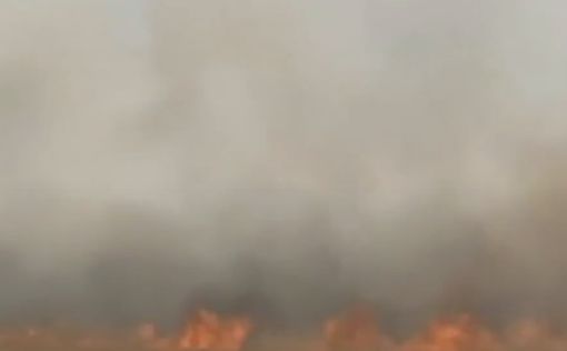 Запуск взрывчатки из Газы: за сутки вспыхнуло 60 пожаров
