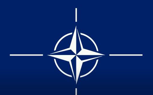 Финляндия должна как можно скорее подать заявку на членство в НАТО