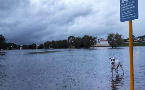 Наводнения усиливаются на севере Австралии