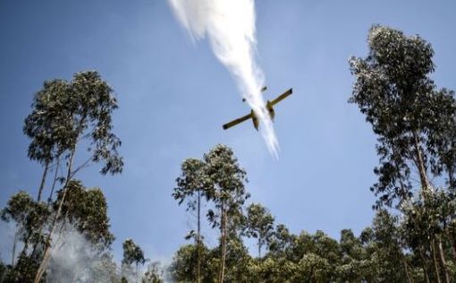 Пожарный самолет разбился в Португалии