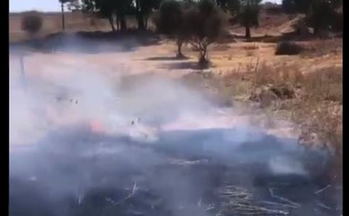 Пожары в Негеве: подтвержден "огненный террор"