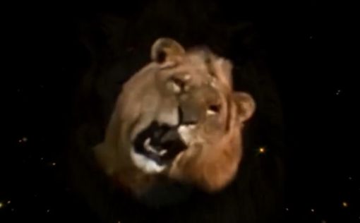 Metro Goldwyn Mayer заменила льва на заставке