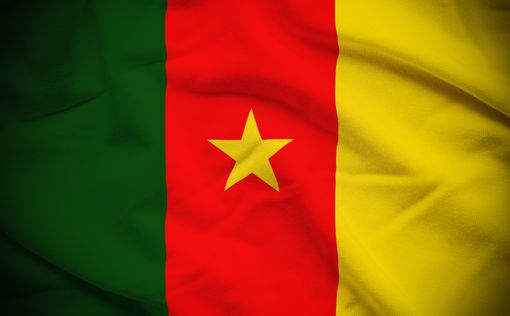 Теракт в Камеруне: 5 погибших
