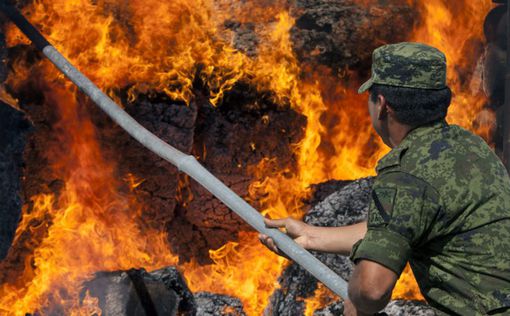 В Мексике сожгли 17,5 тонн наркотиков
