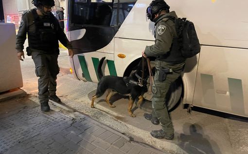 Полиция: боец МАГАВ ранен и террористом, и дружественным огнем | Фото: Полиция Израиля