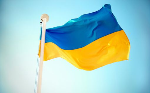 В Украине решат, могут ли осужденные идти в Президенты