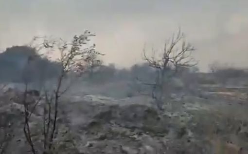 Последствия разрушительного пожара под Иерусалимом показали на видео