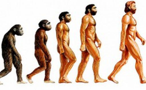 Американские ученые поставили под сомнение теорию эволюции