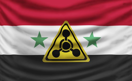 ОЗХО: Химическое оружие в Сирии скоро уничтожат