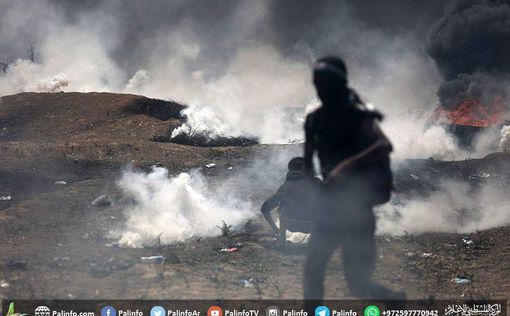 Массовое помешательство в Газе: 59 погибших