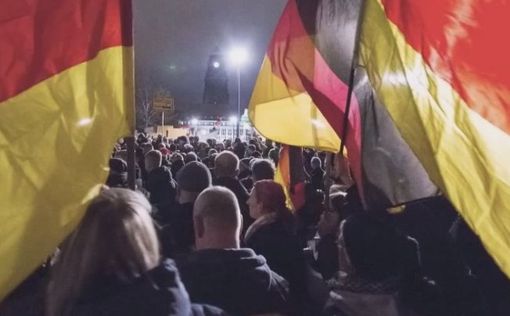 В Германии прошла массовая антиисламская демонстрация