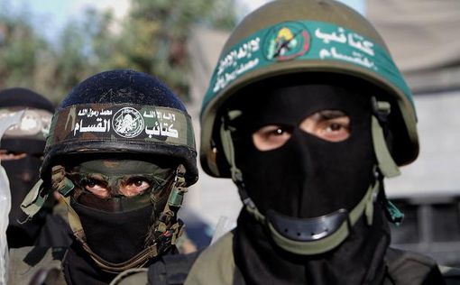 "Amnesty International – инструмент в руках ХАМАСа"
