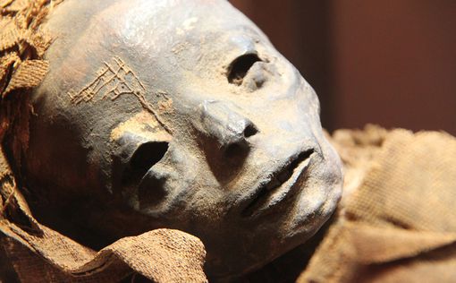 Исследование мумий: дети в Древнем Египте часто страдали анемией