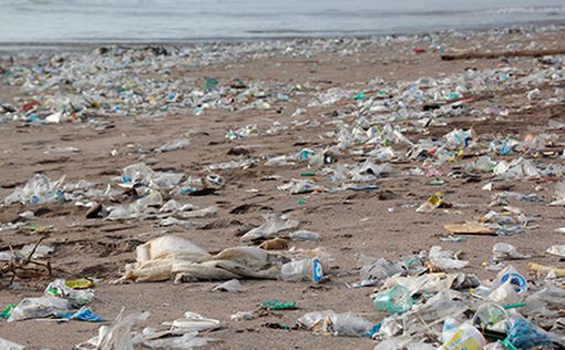 Тель-Авив третий в рейтинге по выбросам пластика на берег