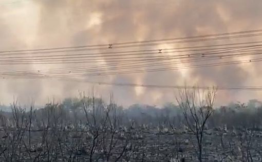 Глобальный блэкаут в Аргентине из-за пожара на АЭС