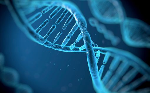 Биологи научились составлять фоторобот по ДНК