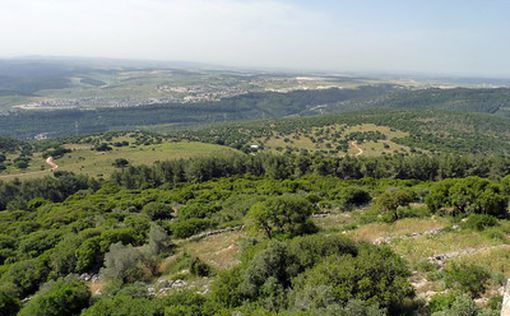 В поселениях Галилеи днем стало безопасней | Фото: AFP