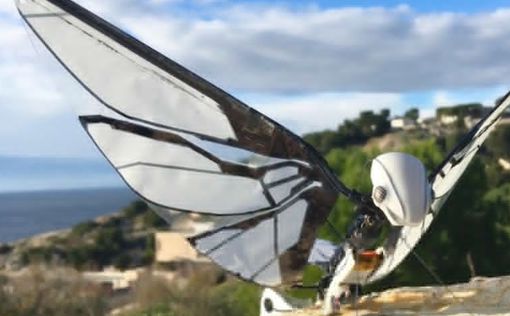 Французский инженер изобрел уникального крылатого робота