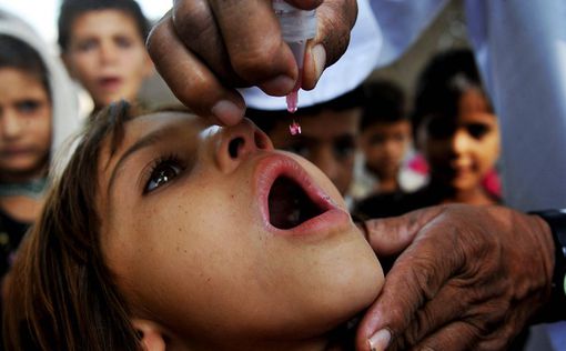 Два типа вакцины от полиомиелита могут победить вирус