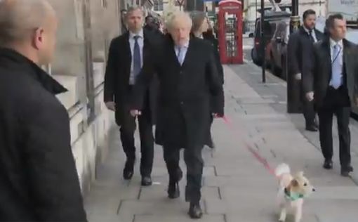 Борис Джонсон явился на выборы с собакой