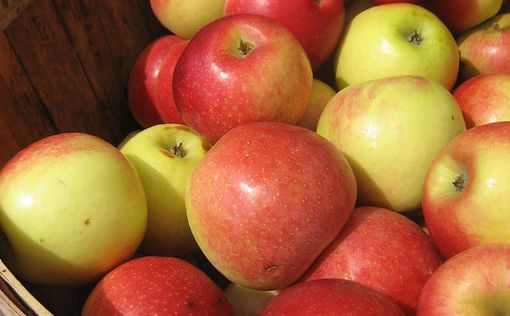 Сколько яблок можно съесть?