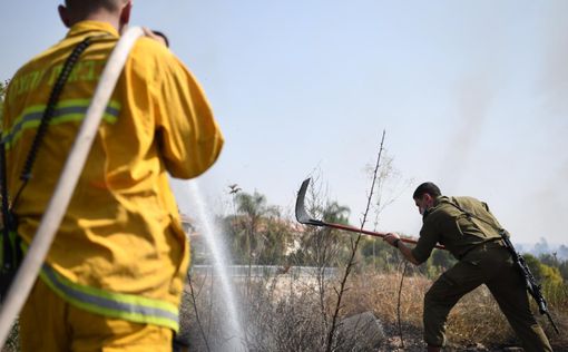 Израиль в огне: борьба с пожарами продолжается