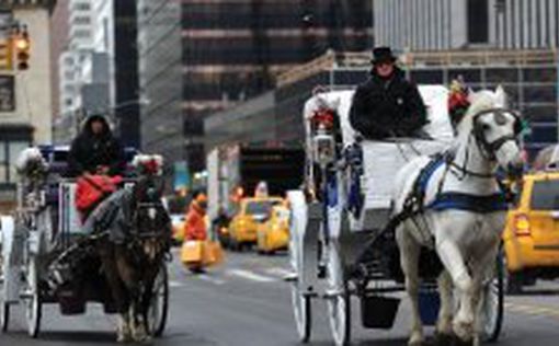 В Нью-Йорке заменят лошадей на электромобили