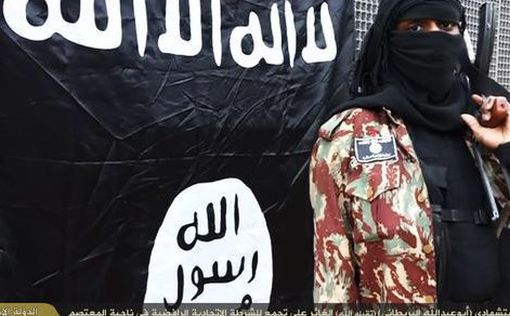 Швеция не признала флаг ISIS проявлением ненависти