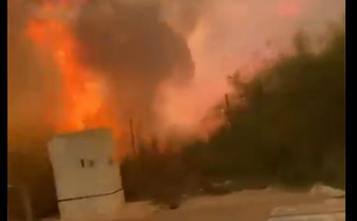 Израиль в огне: проверяются подозрения о поджоге