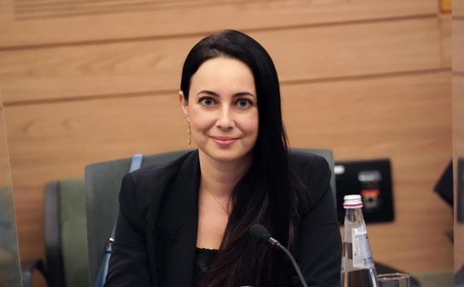 Законопроект Элины Бардач-Яловой: подписание договора на понятном языке
