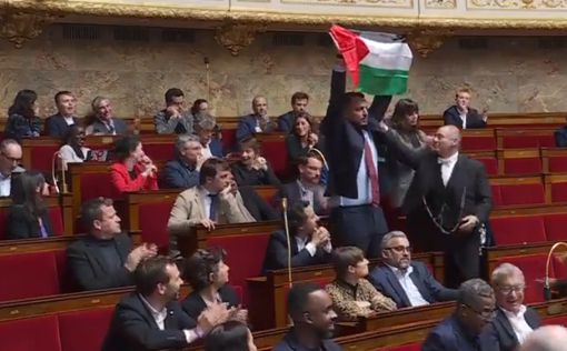 Во Франции депутат отстранен за размахивание палестинским флагом