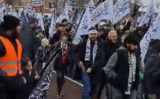 В Нидерландах состоялся марш ISIS: видео