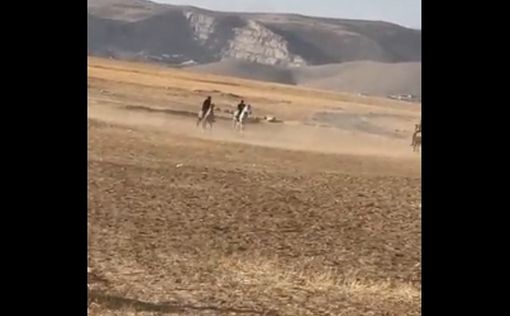 Бедуинские скачки закончились трагедией
