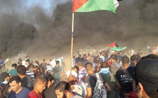 Столкновения на границе: пострадали 14 палестинцев