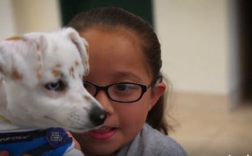 Глухая девочка обучила глухого щенка командам