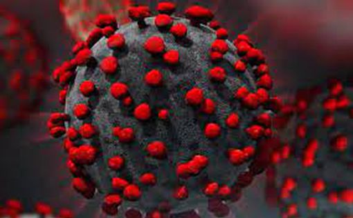 ВОЗ: 90% населения планеты имеют "определенный уровень" иммунитета к COVID