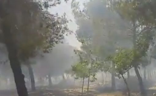 Из-за жары: сильные пожары разных частях Израиля