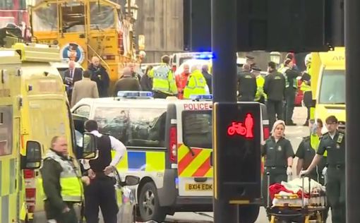 Лондон: полиция  ищет второго виновника нападения